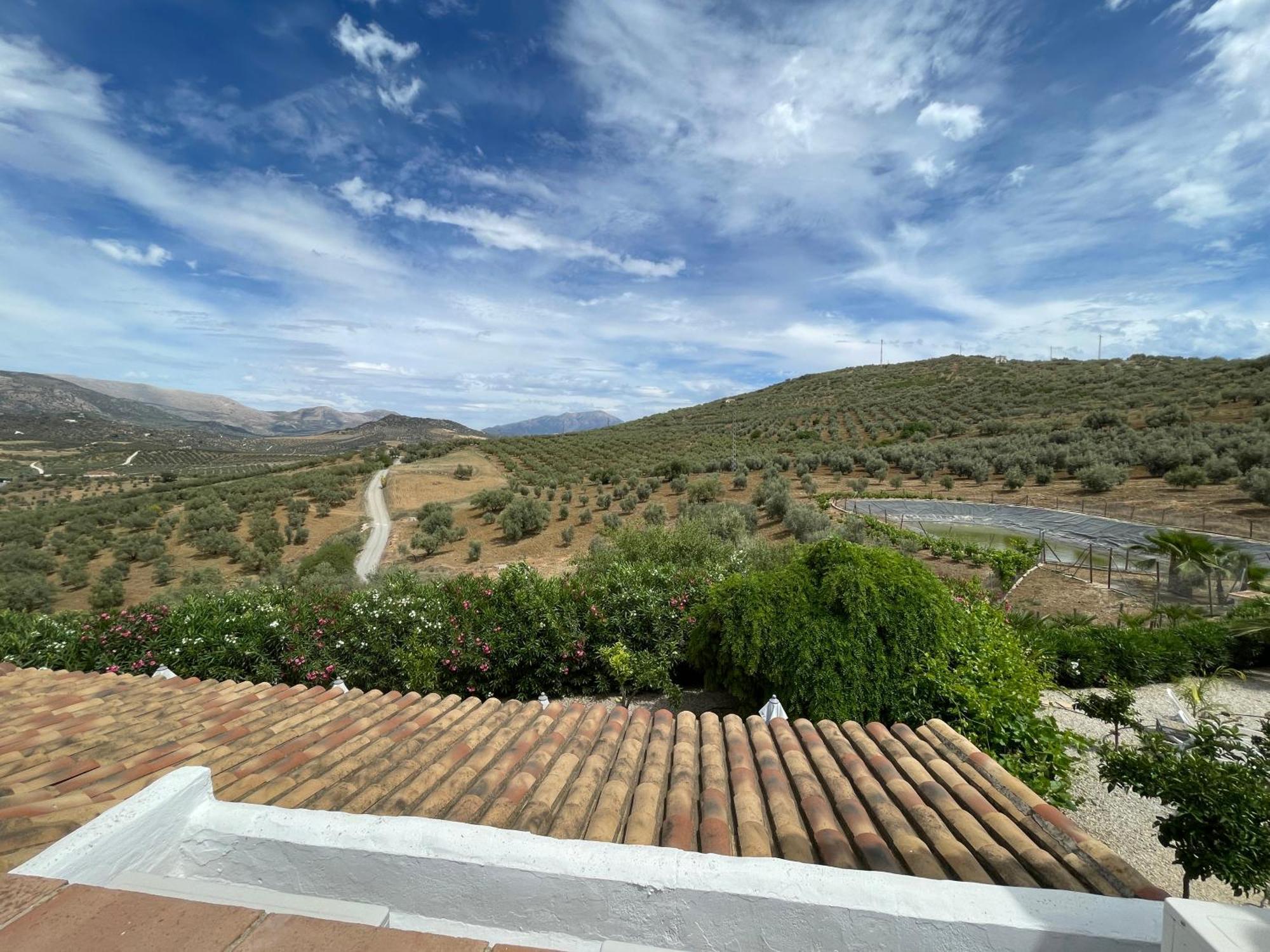 לינה וארוחת בוקר Hacienda Ríogordo מראה חיצוני תמונה